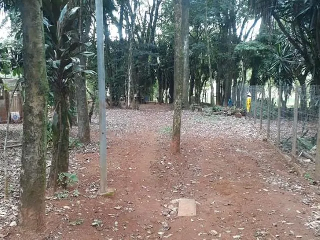 Imagem 4: Venda de Sítio em Igarapé/MG / com 8.000 m²