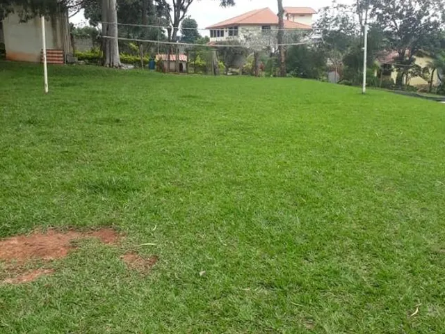 Imagem 10: Venda de Sítio em Igarapé/MG / com 8.000 m²