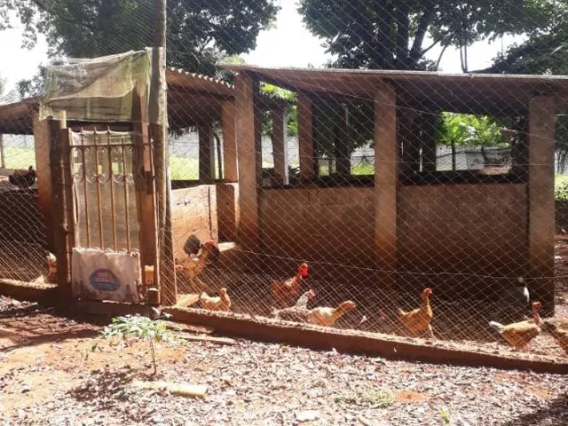 Imagem 13: Venda de Sítio em Igarapé/MG / com 8.000 m²
