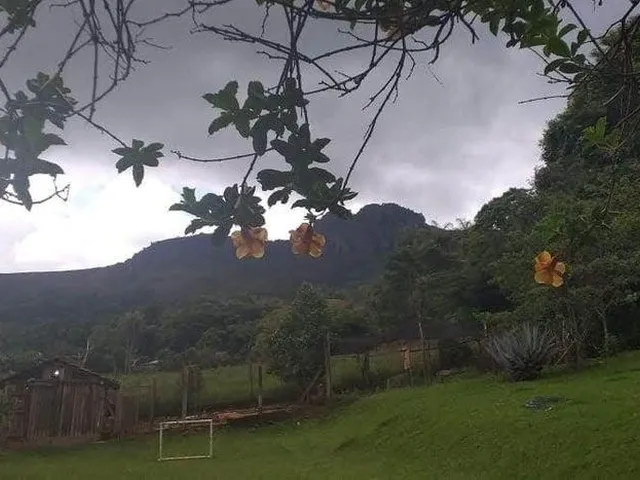 Imagem 2: Vendo Sítio Espetacular em Itatiaiuçu/MG ,com 8.000 m² de área total