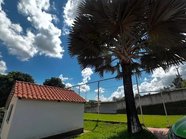 Imagem 4: CHÁCARA À VENDA EM IGARAPÉ /com 3.000 m² de área