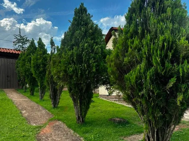 Imagem 11: CHÁCARA À VENDA EM IGARAPÉ /com 3.000 m² de área