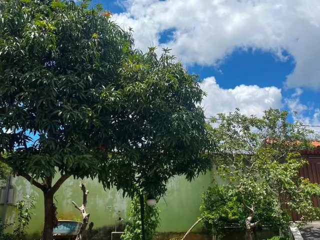 Imagem 2: CHÁCARA À VENDA EM ESMERALDAS/MG , 1.440 m² de área