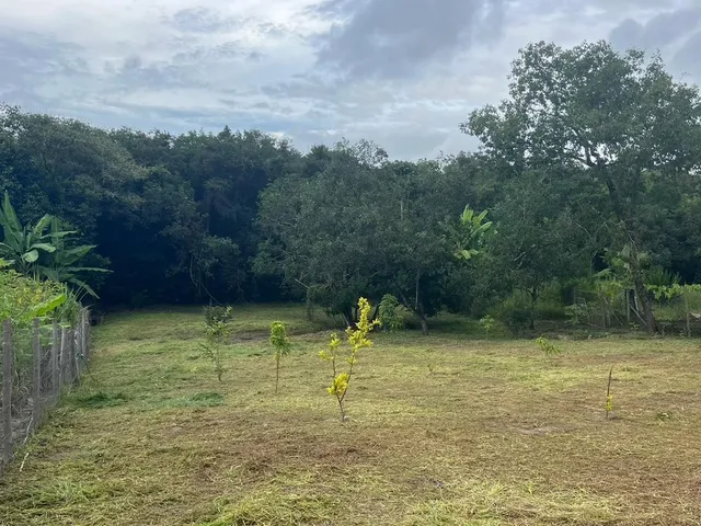 Imagem 12: Chácara à Venda em Esmeraldas/MG ? 1.540 m²