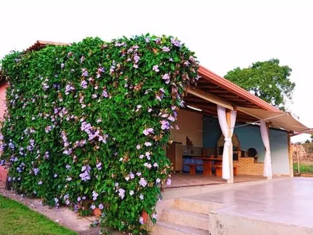 Imagem 9: Vendo uma belíssima chácara em Esmeraldas , Com área total de 1.270 m²