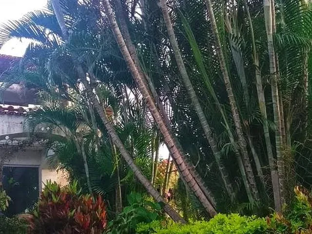 Imagem 8: Linda chácara a venda em Esmeraldas /MG , TAMANHO: 570 M²