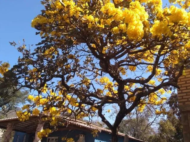 Imagem 11: Oportunidade abaixo do preço - Chacara a venda no Vivendas Santa Mônica II , com 1.000