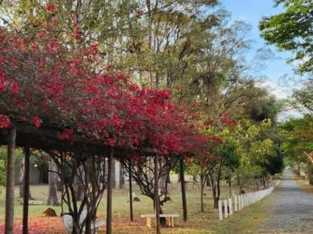 Imagem 8: Oportunidade abaixo do preço - Chacara a venda no Vivendas Santa Mônica II , com 1.000