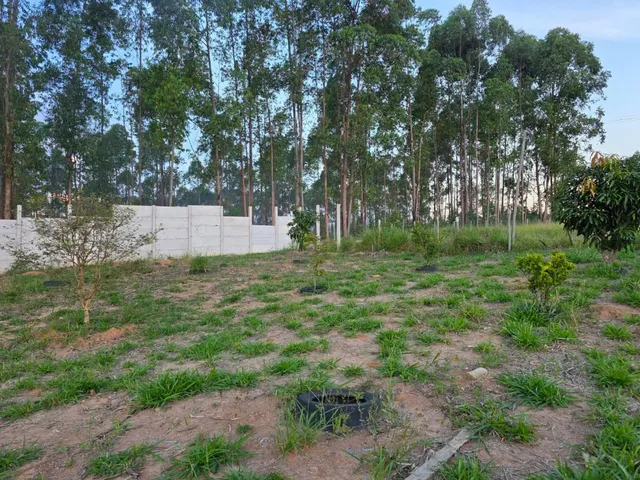 Imagem 7: Chácara belíssima a venda em Itatiaiuçu/MG , Terreno amplo com aprox. 2.500m²