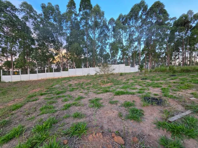 Imagem 11: Chácara belíssima a venda em Itatiaiuçu/MG , Terreno amplo com aprox. 2.500m²