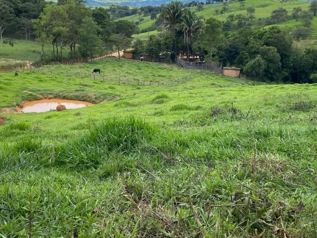 Imagem 11: Vendo uma ótima chácara em Itaguara/MG com 23.000 m²