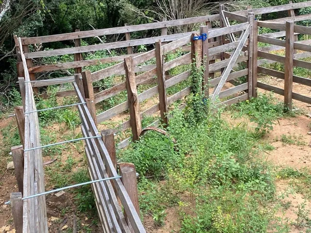 Imagem 8: Vendo uma ótima chácara em Itaguara/MG com 23.000 m²