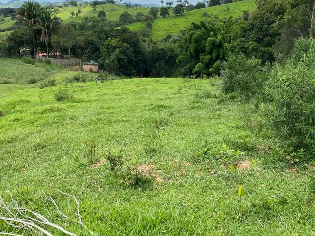 Imagem 3: Vendo uma ótima chácara em Itaguara/MG com 23.000 m²