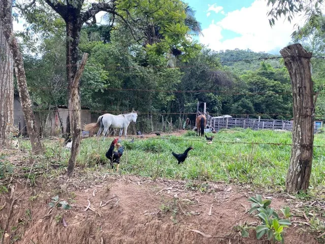 Imagem 4: Vendo uma ótima chácara em Itaguara/MG com 23.000 m²