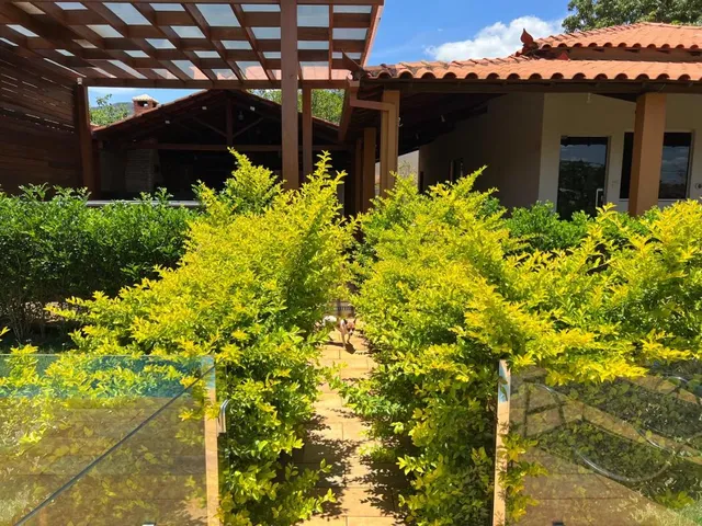 Imagem: Excelente chácara à venda em Igarapé/MG