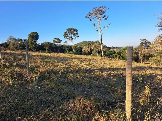 Imagem 3: Vendo uma excelente chácara em Itaguara/crucilandia com 2 hectares (20.000 m²)