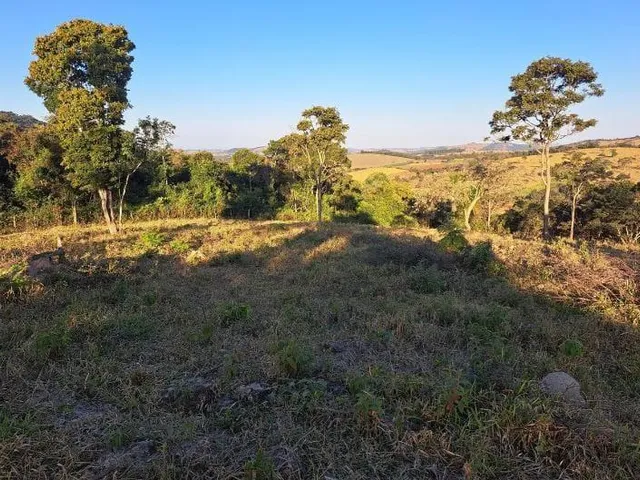 Imagem 4: Vendo uma excelente chácara em Itaguara/crucilandia com 2 hectares (20.000 m²)
