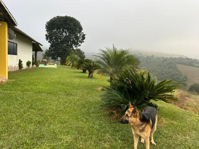 Imagem 9: Belíssima Chácara à Venda em Crucilândia/MG , com 3.000 m² de terreno