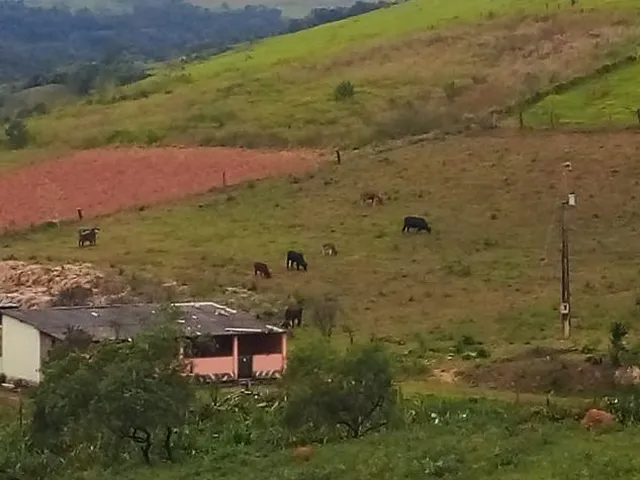 Imagem: Vendo Chácara em Crucilândia com 5.000