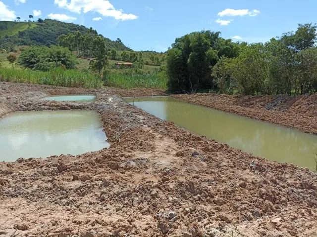 Imagem 8: Vendo Chácara em Crucilândia com 5.000 m² de area