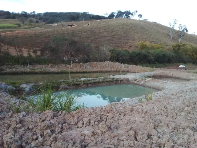 Imagem 7: Vendo Chácara em Crucilândia com 5.000 m² de area