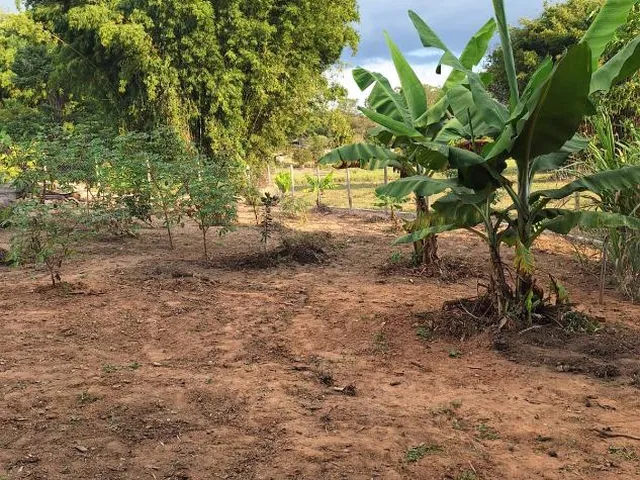 Imagem 6: Vendo Chácara em Bonfim/Mg com 1.815 M² de Área Total
