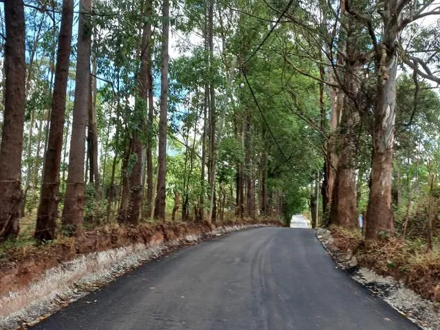 Imagem 7: Venda de Chácara em Itatiaiuçu/MG com 2.000 m² de area