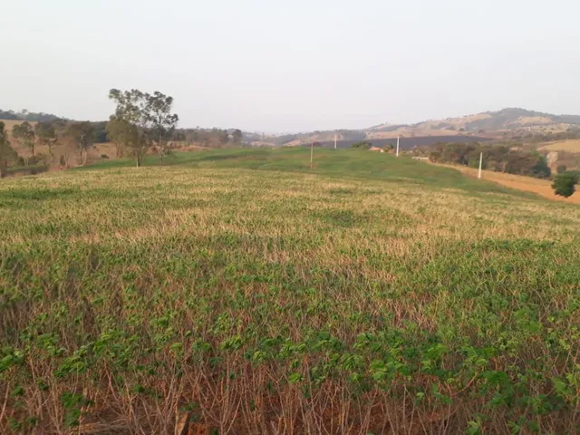 Imagem: CHÁCARAS À VENDA EM CRUCILÂNDIA - MG