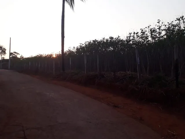 Imagem 3: CHÁCARAS À VENDA EM CRUCILÂNDIA - MG com 10.000 m², toda plana