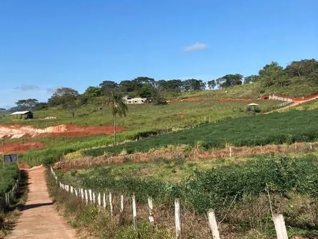 Imagem 4: CHÁCARAS À VENDA EM CRUCILÂNDIA - MG com 10.000 m², toda plana