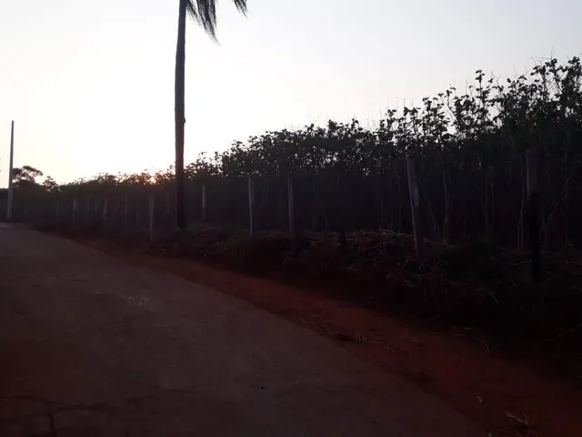 Imagem 5: CHÁCARAS À VENDA EM CRUCILÂNDIA - MG com 10.000 m², toda plana