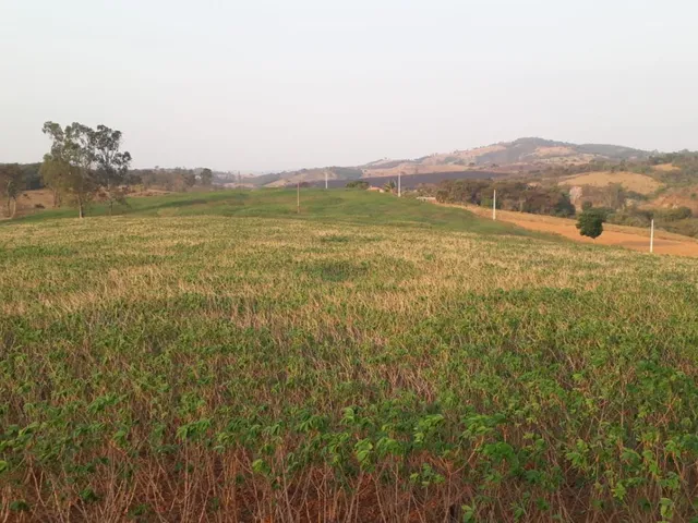 Imagem 6: CHÁCARAS À VENDA EM CRUCILÂNDIA - MG com 10.000 m², toda plana