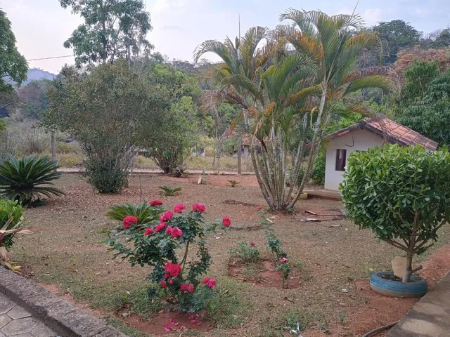 Imagem 10: Vendo Chácara em Crucilândia/MG - com 2.400 m² de area