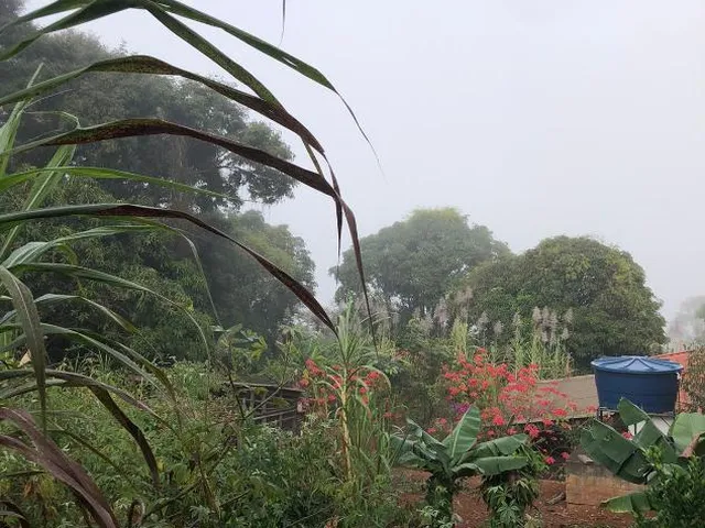 Imagem 16: CHÁCARA À VENDA EM ITAGUARA - MG Área Total: 1.000 m²