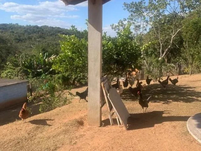 Imagem 15: Vendo ótima chácara em Igarapé/MG com 3.750 m² de área