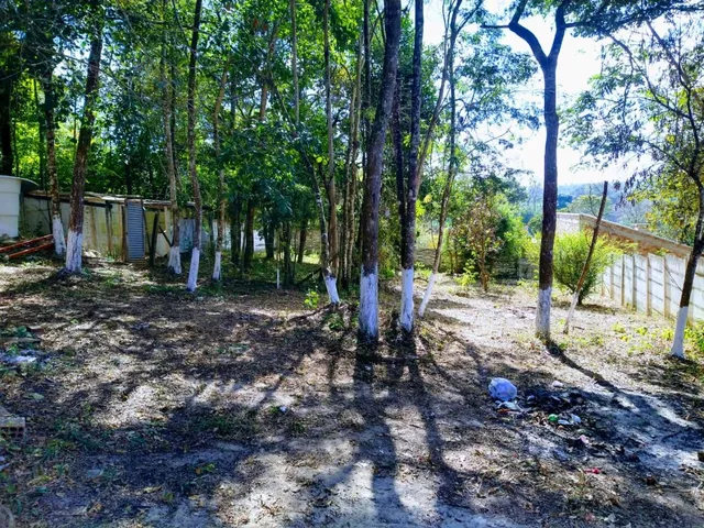 Imagem 16: Vendo Chácara em Pará de Minas/Mg com 1.179 M² de Área