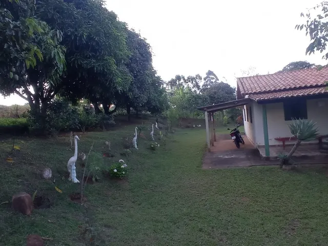 Imagem 8: Vendo chácara em Crucilândia/MG - com 4.500 m² de área