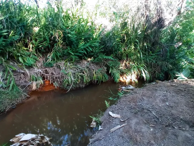 Imagem 12: Vendo chácara em Crucilândia/MG - com 4.500 m² de área