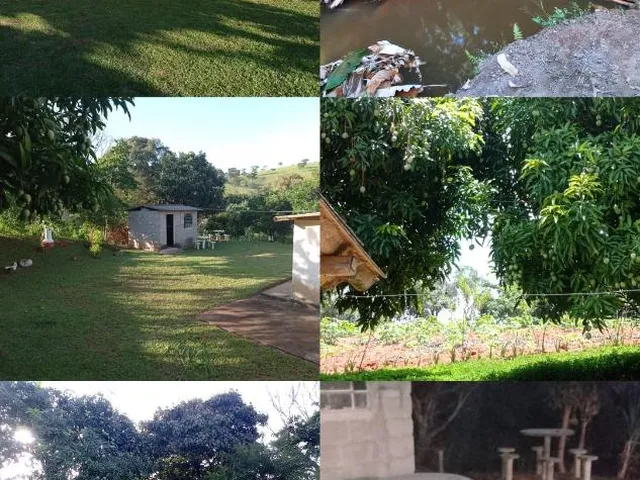 Imagem 6: Vendo chácara em Crucilândia/MG - com 4.500 m² de área