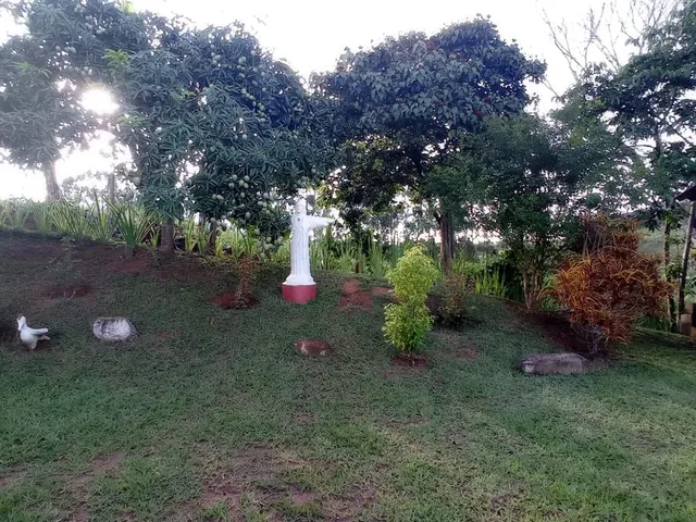 Imagem 13: Vendo chácara em Crucilândia/MG - com 4.500 m² de área
