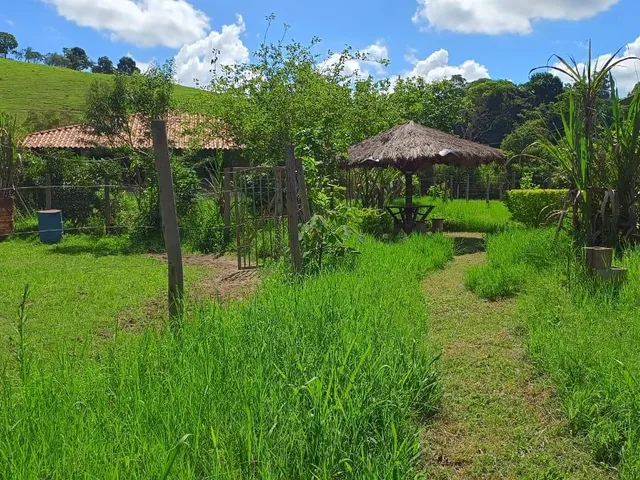 Imagem 11: Vendo ótima chácara em Crucilândia com 7.000 m² de area
