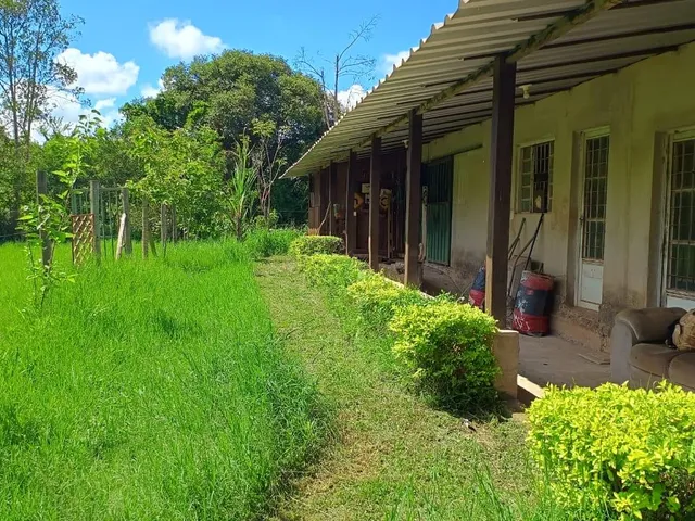 Imagem 13: Vendo ótima chácara em Crucilândia com 7.000 m² de area