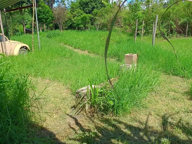 Imagem 5: Vendo ótima chácara em Crucilândia com 7.000 m² de area
