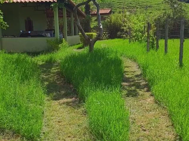 Imagem 15: Vendo ótima chácara em Crucilândia com 7.000 m² de area