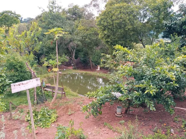 Imagem 4: Vendo ótima chácara em Piracema com 3.000 m² de area