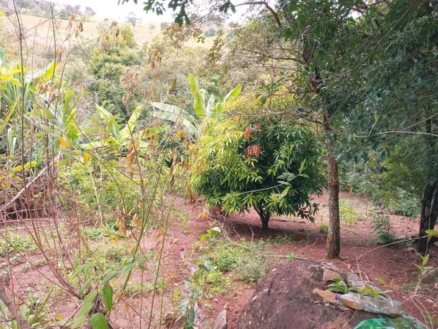 Imagem 5: Vendo ótima chácara em Piracema com 3.000 m² de area