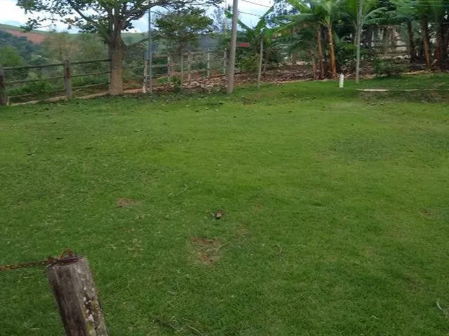 Imagem 7: Vendo linda chácara em Crucilândia/MG com 1.200 m² de área total