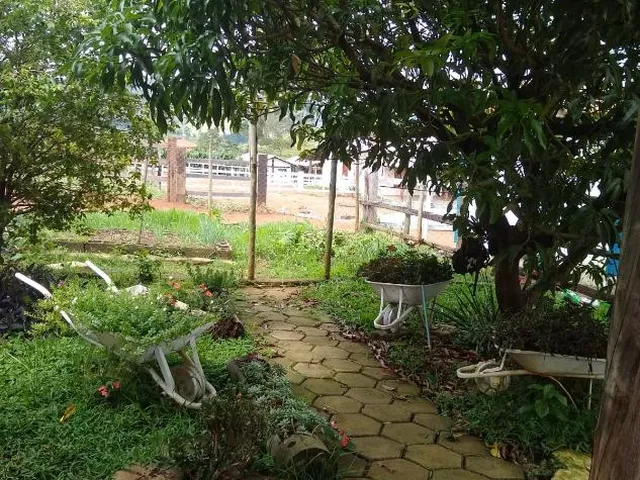 Imagem 10: Vendo linda chácara em Crucilândia/MG com 1.200 m² de área total