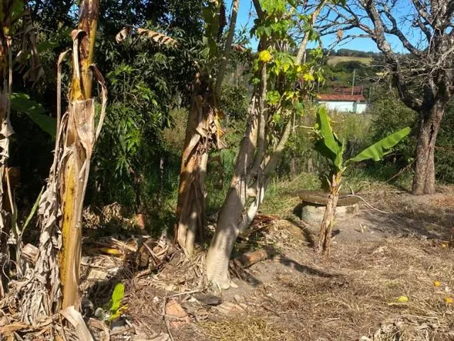 Imagem 3: Chácara À Venda em Bonfim/Mg com 3.000 M² de Area