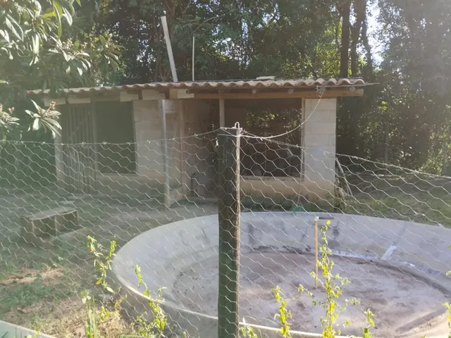 Imagem 7: Vende-se Chácara em Piracema/MG Com 8.000 m² de área total
